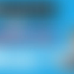 Rapport de comportement Wix Analytics - Tuto complet