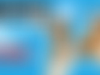 Wix live la meilleure alternative à zoom - Tuto complet