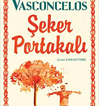 SEÇME OKUMA KİTAPLARI NELERDİR ?