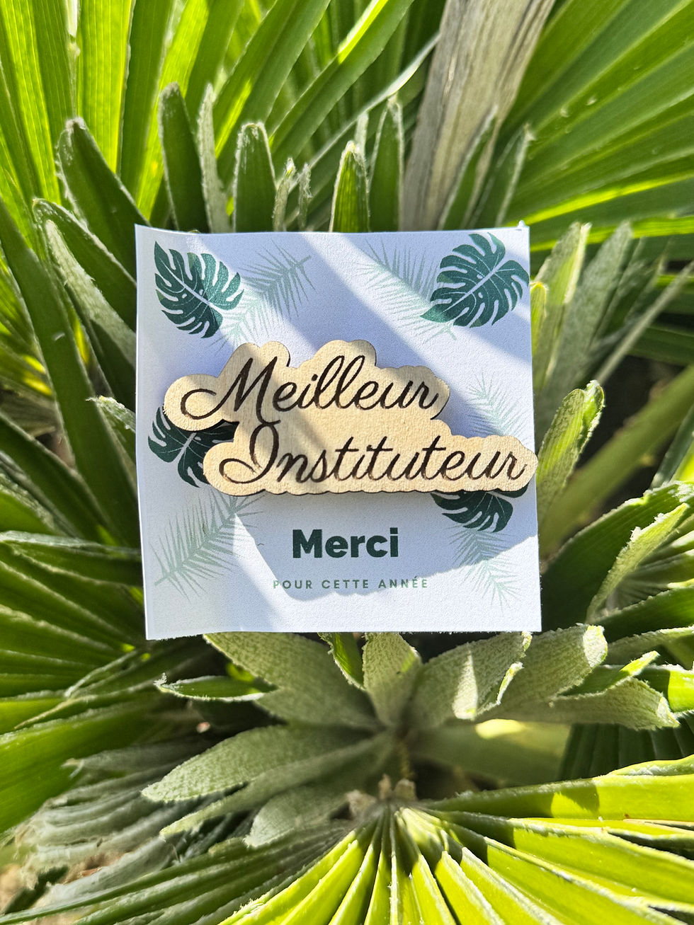 Miniature : Pin’s meilleure institutrice - meilleur instituteur 