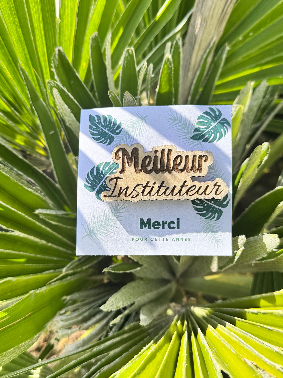 Miniature : Pin’s meilleure institutrice - meilleur instituteur 