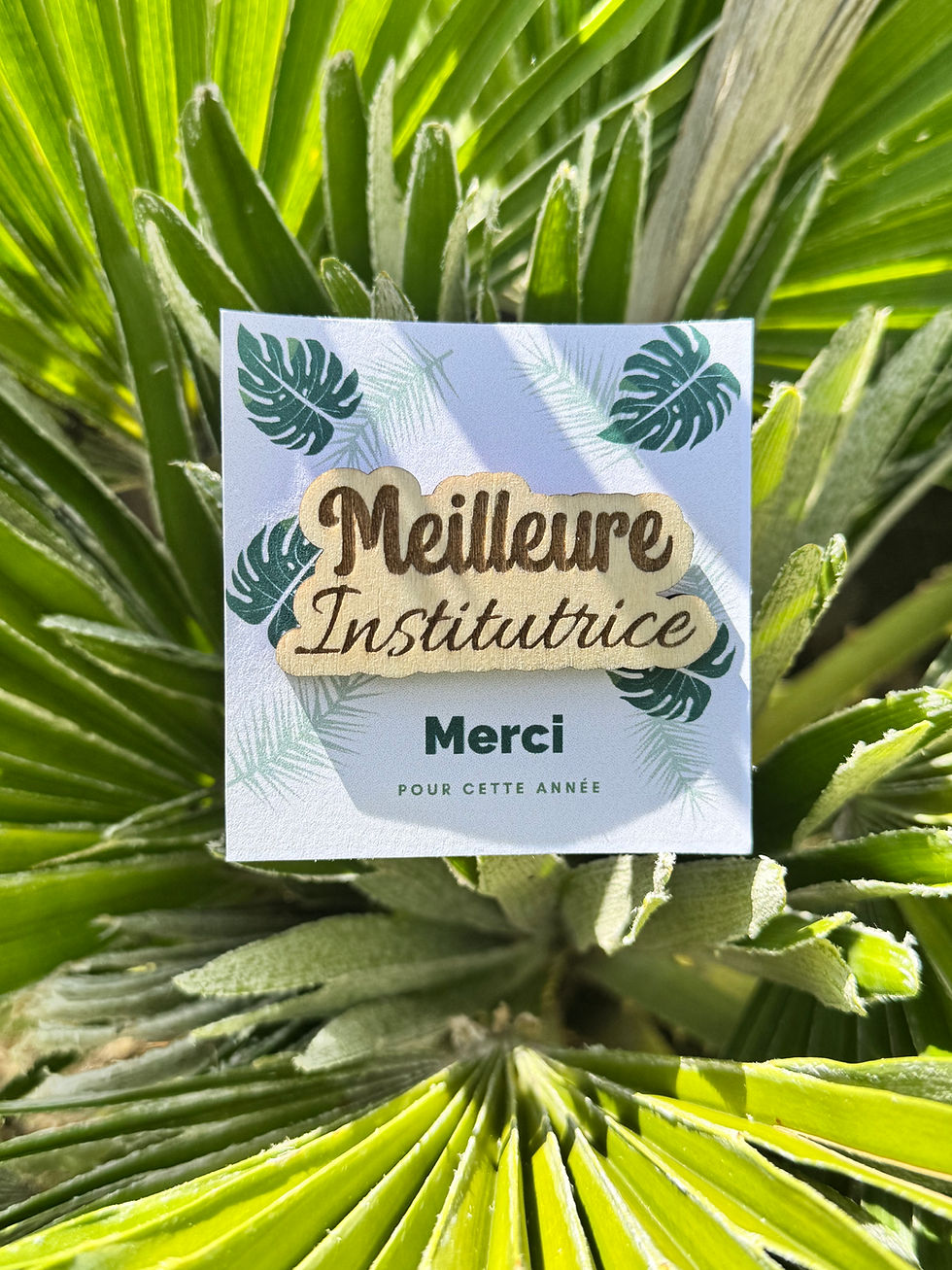 Miniature : Pin’s meilleure institutrice - meilleur instituteur 