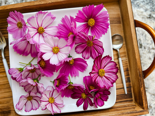 Cosmos Edible Flowers | Organic Flowers Clovis Fresno CA