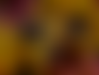 Cut Flower Garden from seed