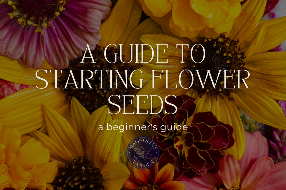 Cut Flower Garden from seed