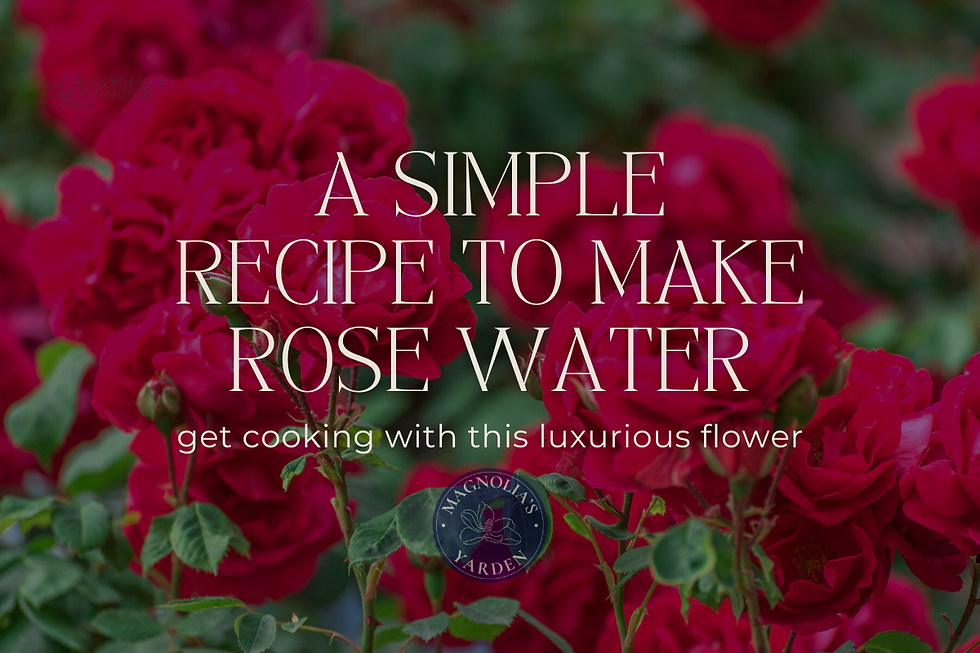 A simple recipe to make rose water