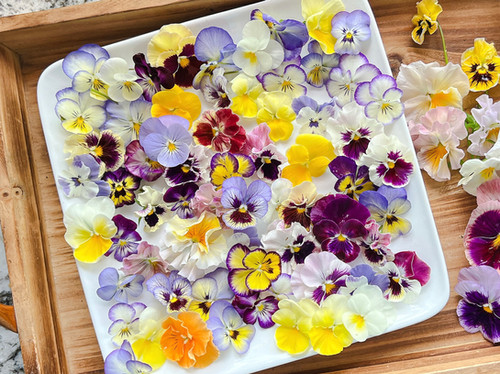 Viola Blend Edible Flowers | Organic Flowers Clovis Fresno CA