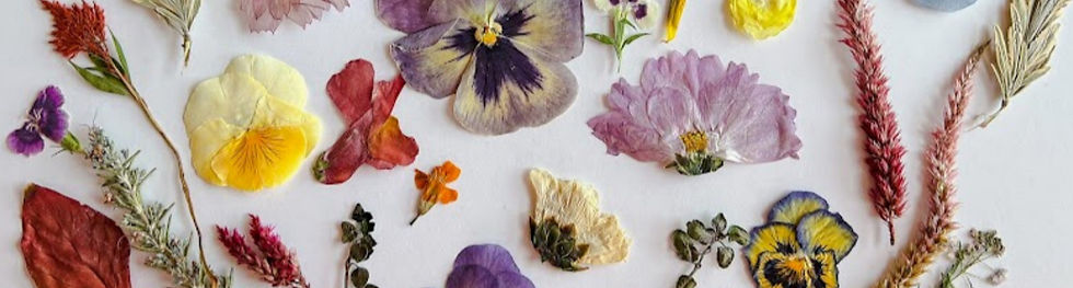 Edible pressed Flowers