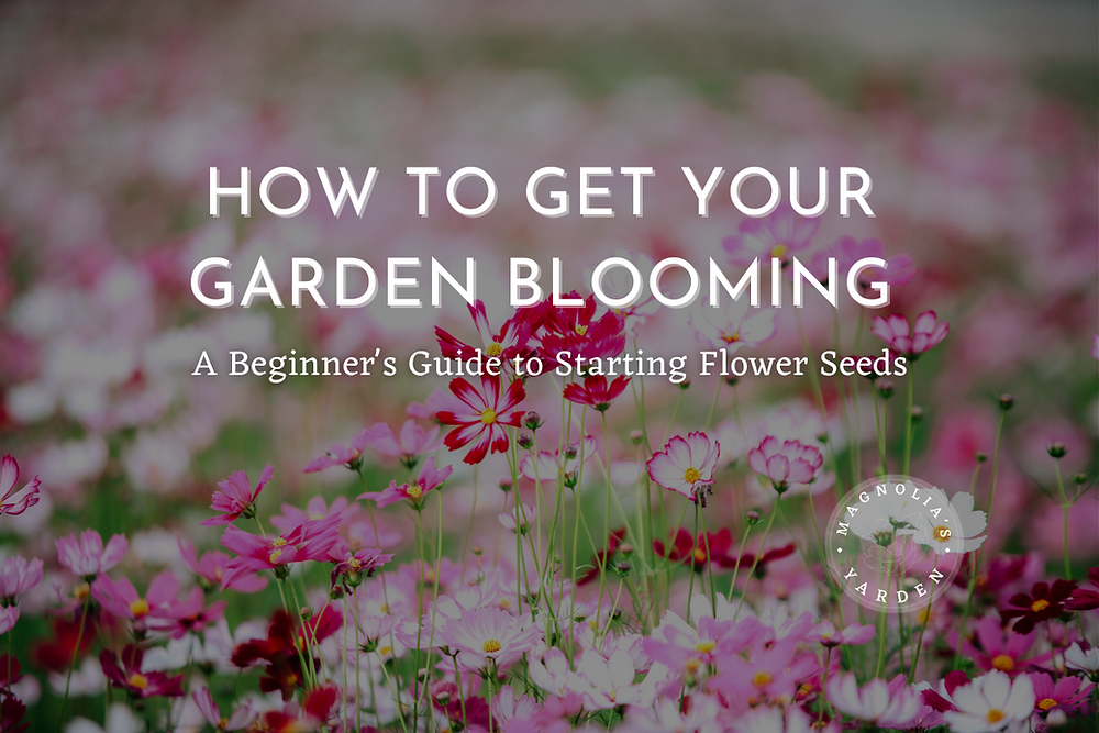 How to Get Your Garden Blooming A Beginner's Guide to Starting Flower
