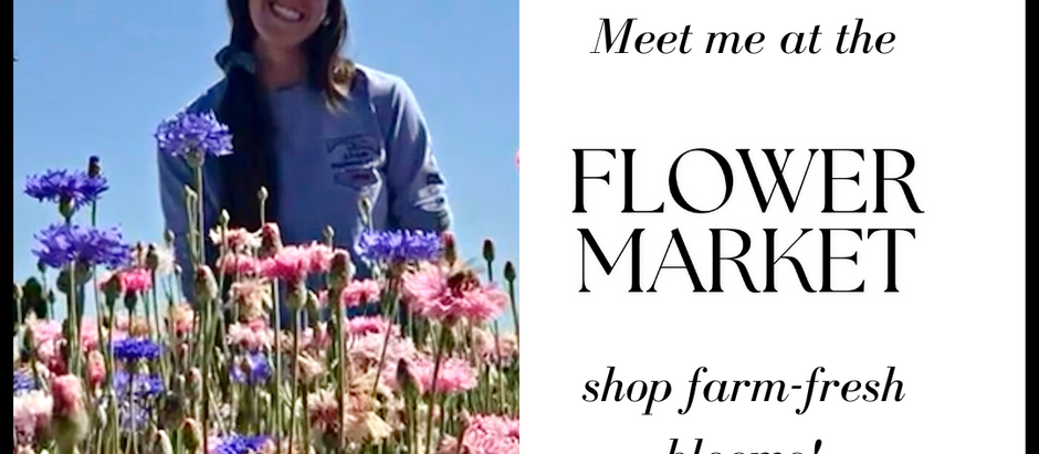 hannaH Honey’s Flowers: A Palindromic Passion for Growing Blooms