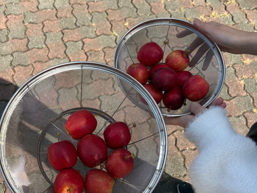 シャロン祭(2025/10/18.19)