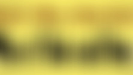 Valor and Noble Character