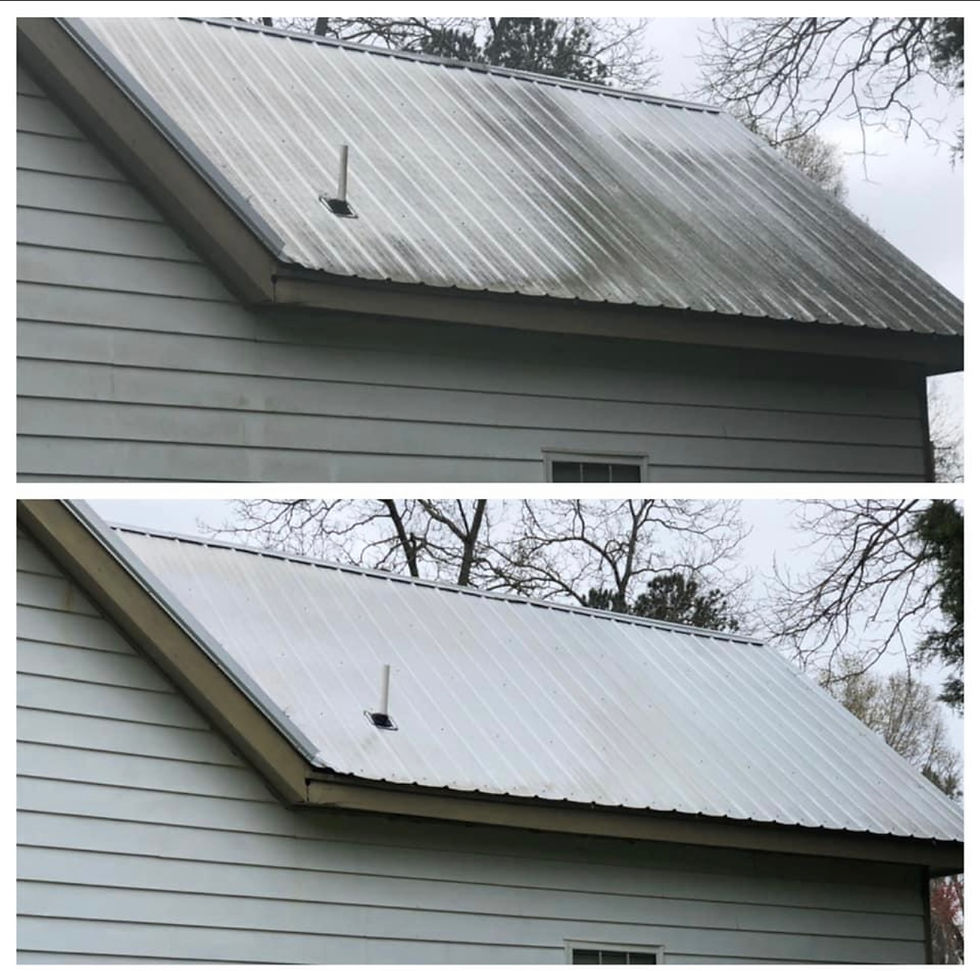 Metal Roof Cleaning
