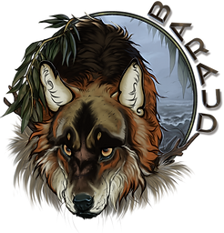 Baraude medallion _8_2024_EDITED.png