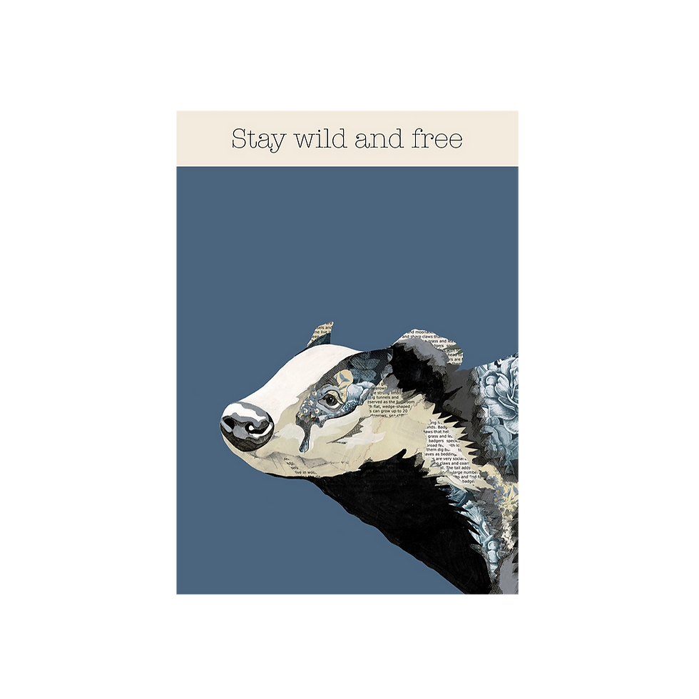 Thumbnail: Badger Braveheart Art Print