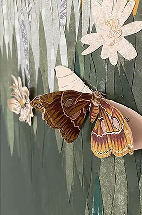 butterfly.webp