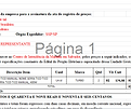 pag1.PNG