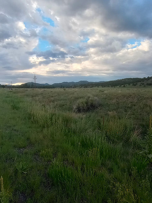 IMG_20240807_184005859_HDR.jpg