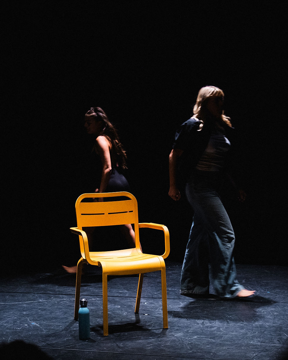 Poulette qui rit, Nana qui pleure, Nanou qui meurent - Cie Après Soleil