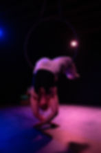 Le Périple du Scarabée - Julia De Felice