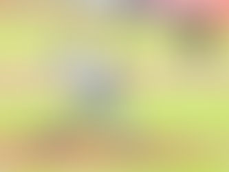 LUCE LA OFENSIVA POBLANA