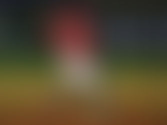 VILLALOBOS PARTICIPA EN BLANQUEADA