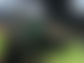 SE EMPATA LA SERIE DEL REY