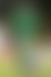 وصول علي عدنان الى برشلونة