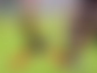 ابن حلبجة العراقي والمحترف في اسكندنافية