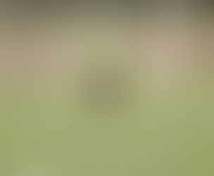 مواهب عراقية كثير في اندية مختلفة عالمية