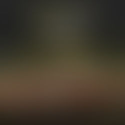 PENAS PARA QUIENES QUEMAN O TALAN NUESTROS BOSQUES