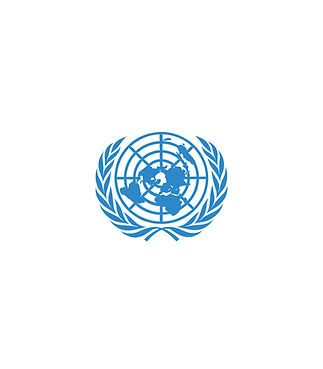 UN LOGO_edited.jpg