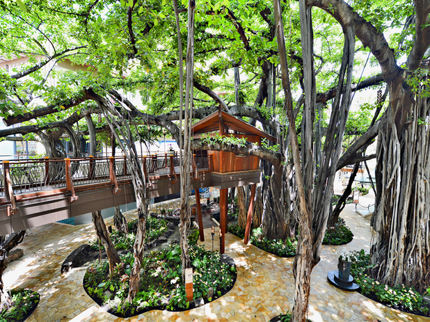 A wooden treehouse with a sloped roof sits among large banyan trees, connected by an elevated walkway with metal railings. The ground below is landscaped with stone pathways, greenery, and a small water feature.