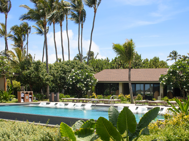 An inviting pool area surrounded by tropical foliage and palm trees, with lounge chairs and umbrellas for relaxation.