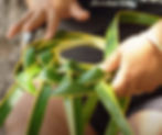 coconut_weaving2.jpg