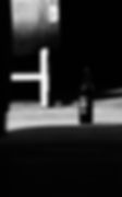 TurtleVerticleb&w.jpg