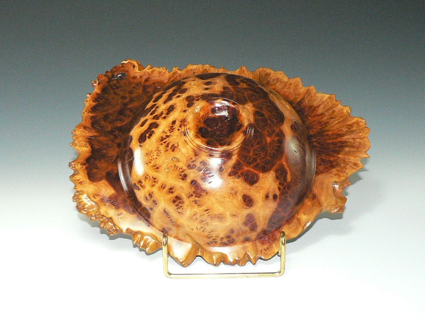 Thumbnail: Small Red Morrell Burl