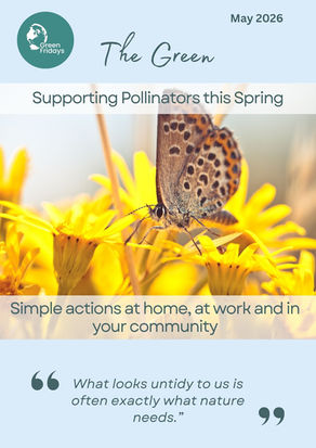 Supporting Pollinators this Spring🐝