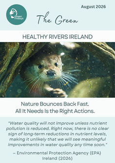 HEALTHY RIVERS IRELAND: Nature Bounces Back Fast. All It Needs Is the Right Actions💧