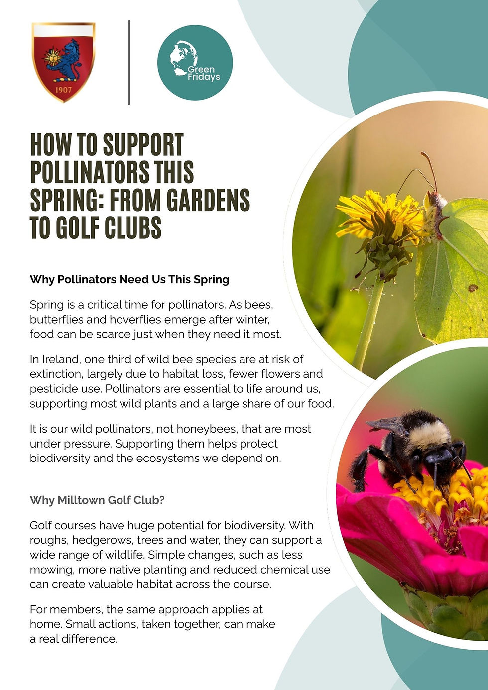 How to Support Pollinators This Spring: From Gardens to Golf Clubs🐝