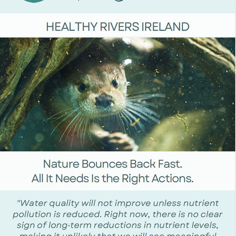 Nature can bounce back. Discover the practical solutions helping restore Ireland's rivers.