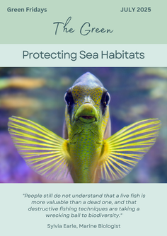 Protecting Sea Habitats 💦 