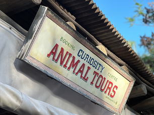 What to Expect on Disney's Wild Africa Trek: A Complete Guide and Why It's Worth the Splurge