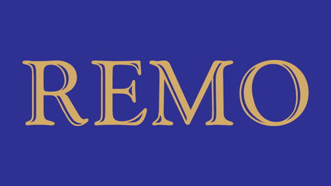 REMO audited financial report download