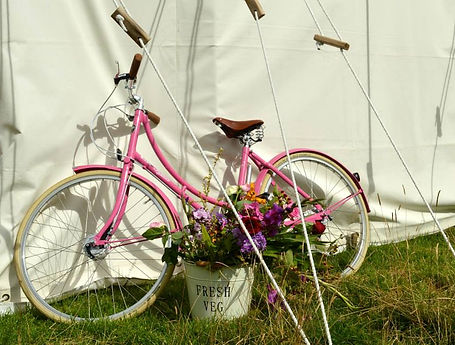 Copyright © Christina Peacock