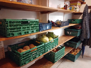 Harvest Festival: How to donate to Catching Lives