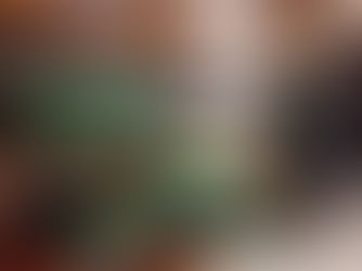 Harvest Festival: How to donate to Catching Lives