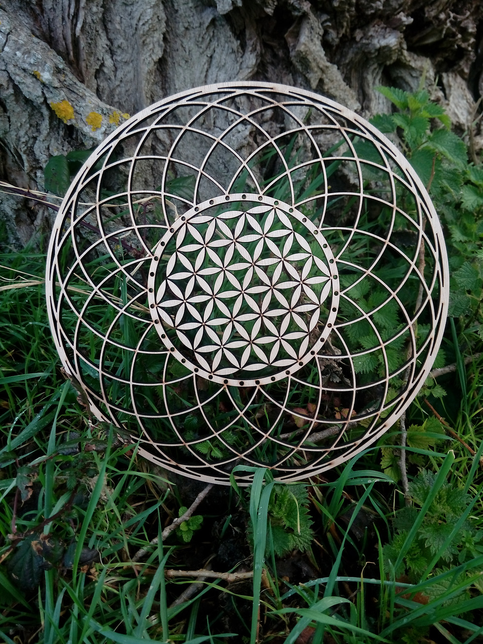 Miniature : Fleur de vie de 24 cm de diamètre