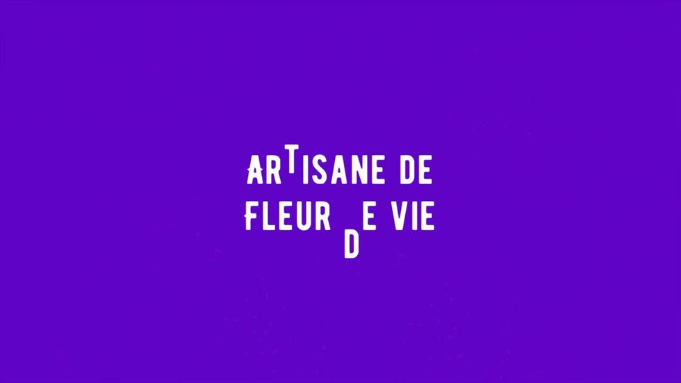 Miniature : Fleur de vie sur deux niveaux