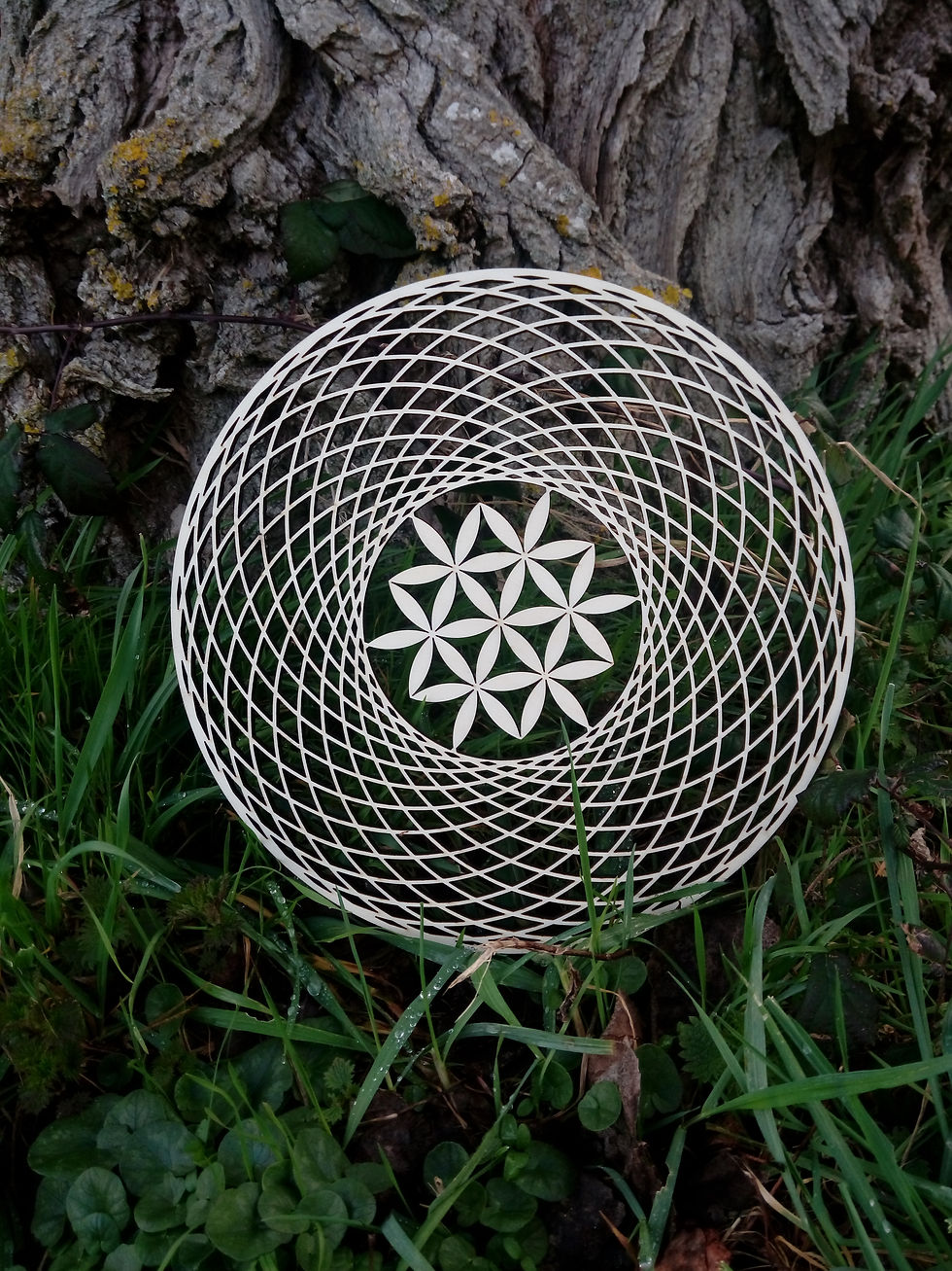 Miniature : Fleur de vie de 27 cm de diamètre